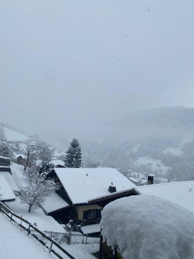 Rooms With Private Bathrooms Saas im Prattigau Exteriör bild